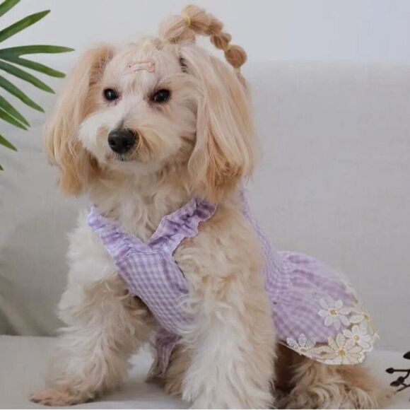 Lavender Dog Cat Pet XS Dress NWOT - Picture 3 of 5